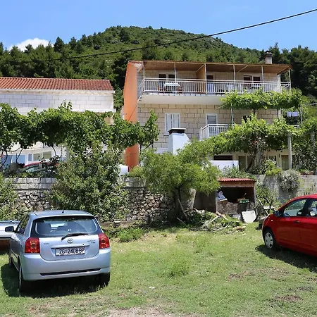 254a * Žuljana